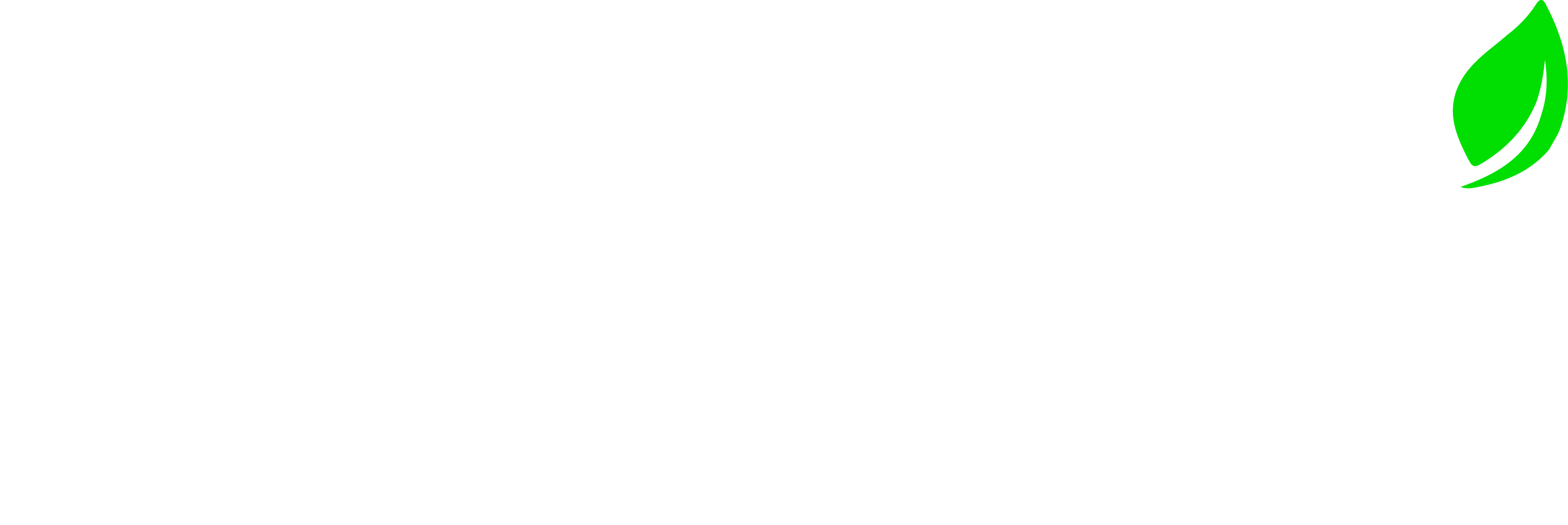 Almai Logo